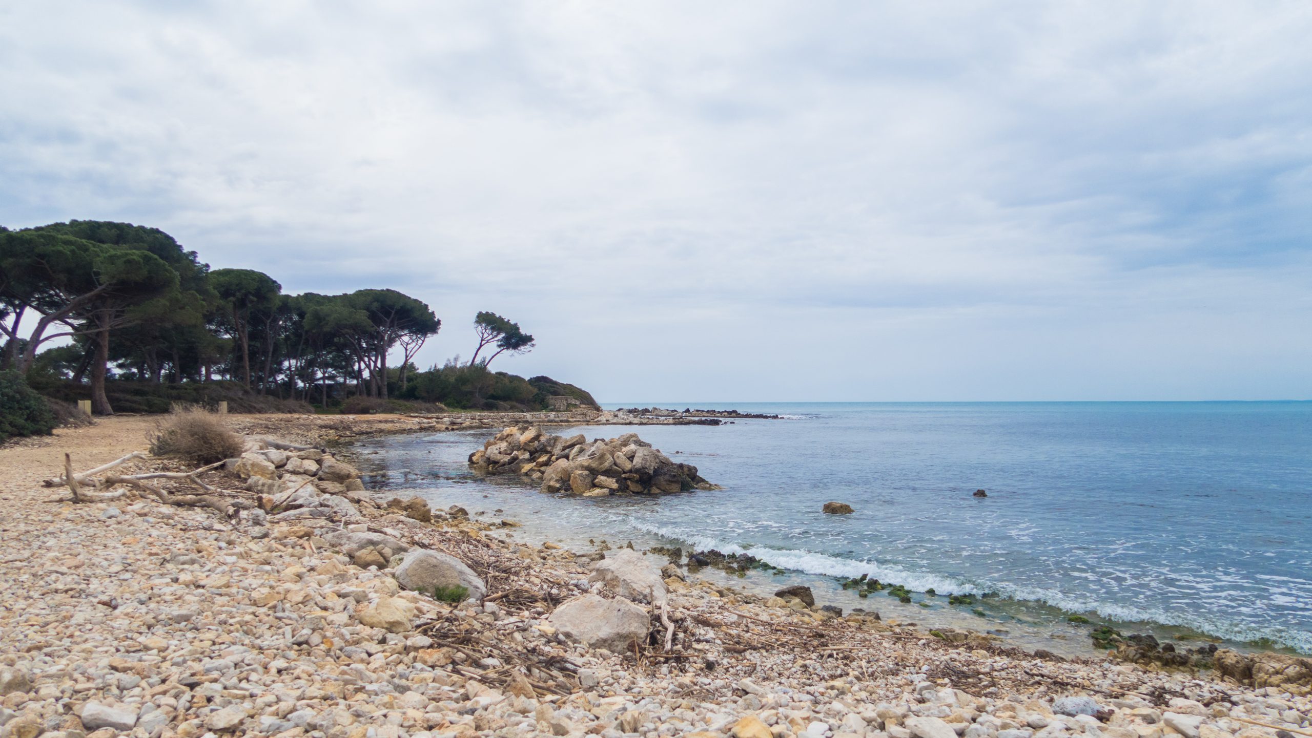 Ile Ste Marguerite avec Catherine et Marylène