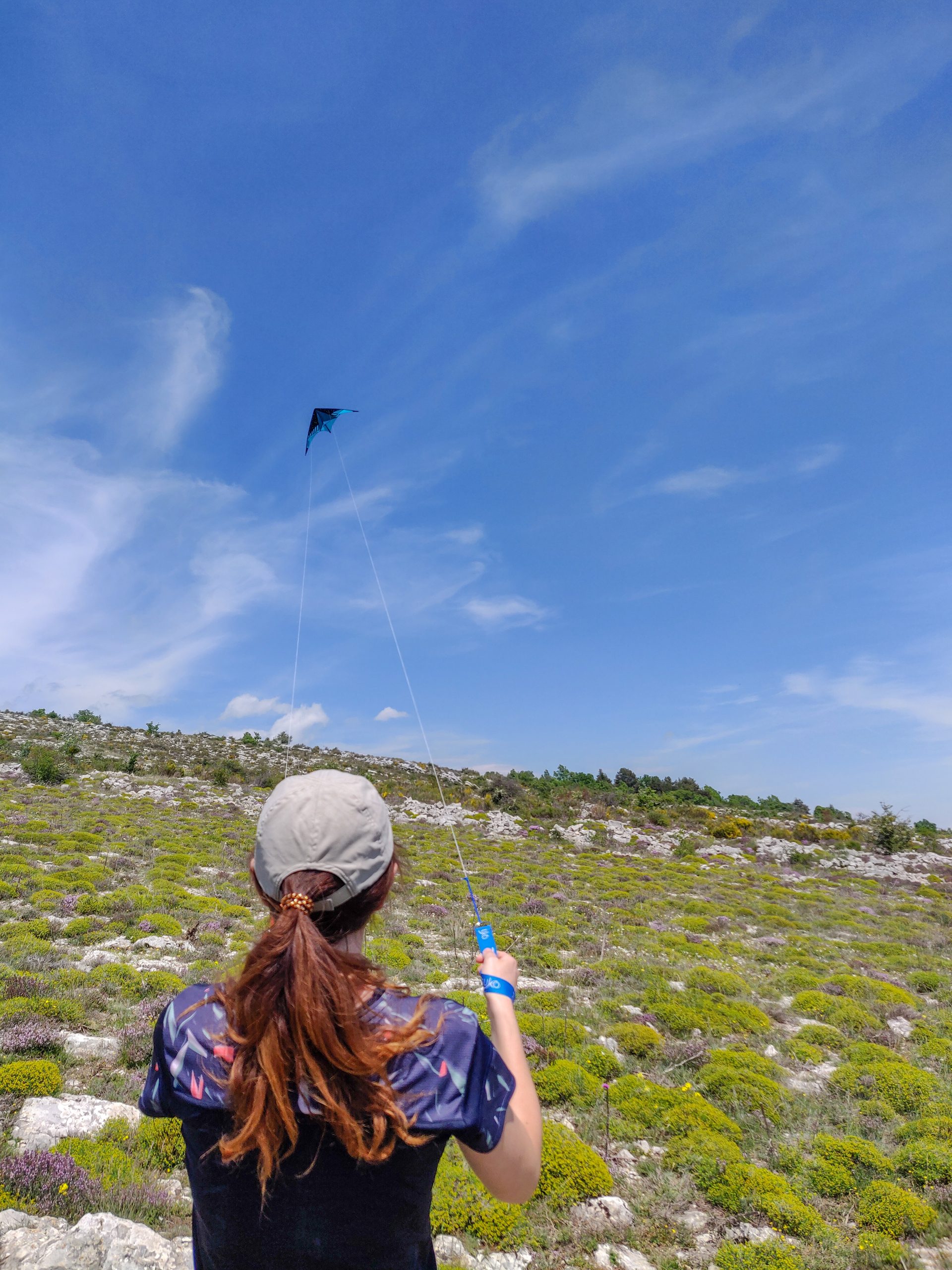 Cerf-volant sur le plateau de Cavillore