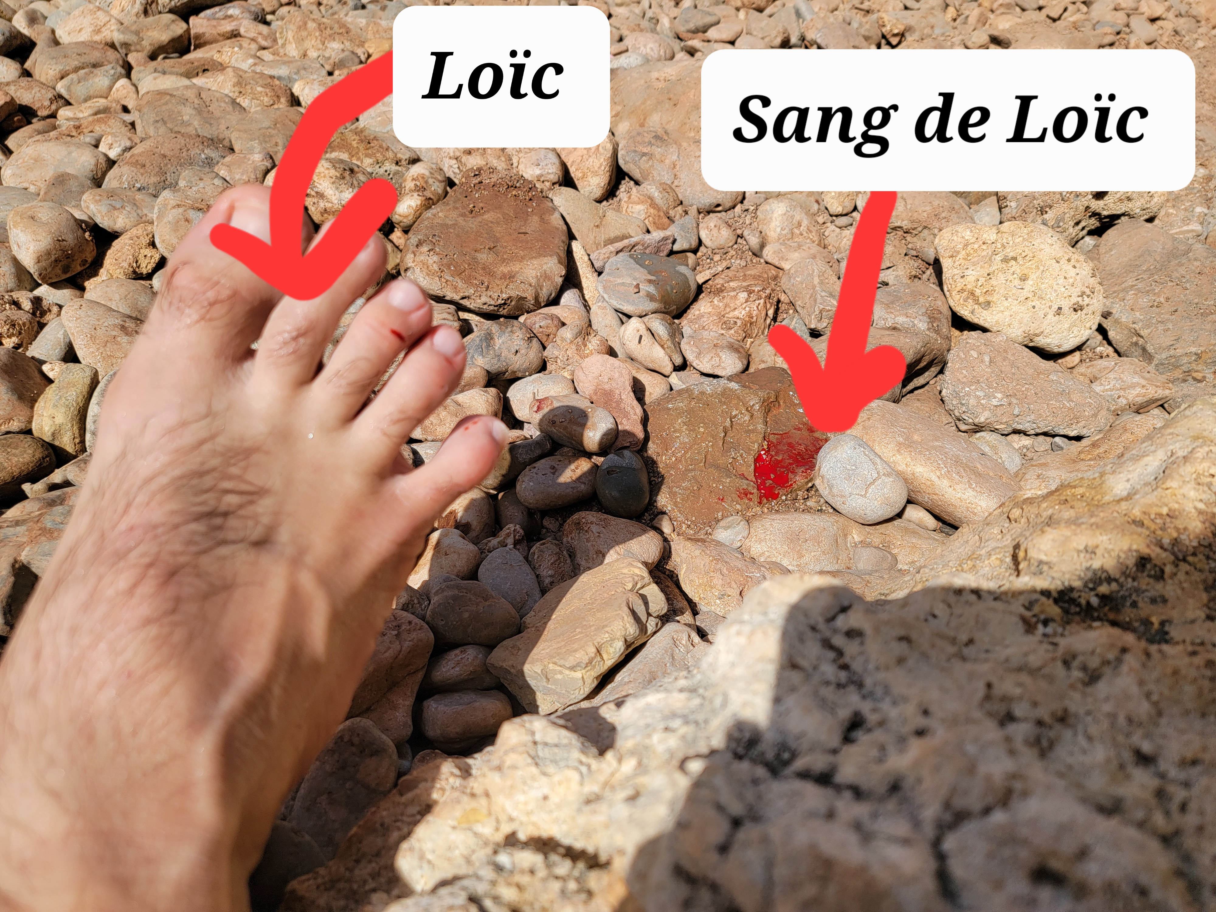 2022-09-16-12.58.37 (1)