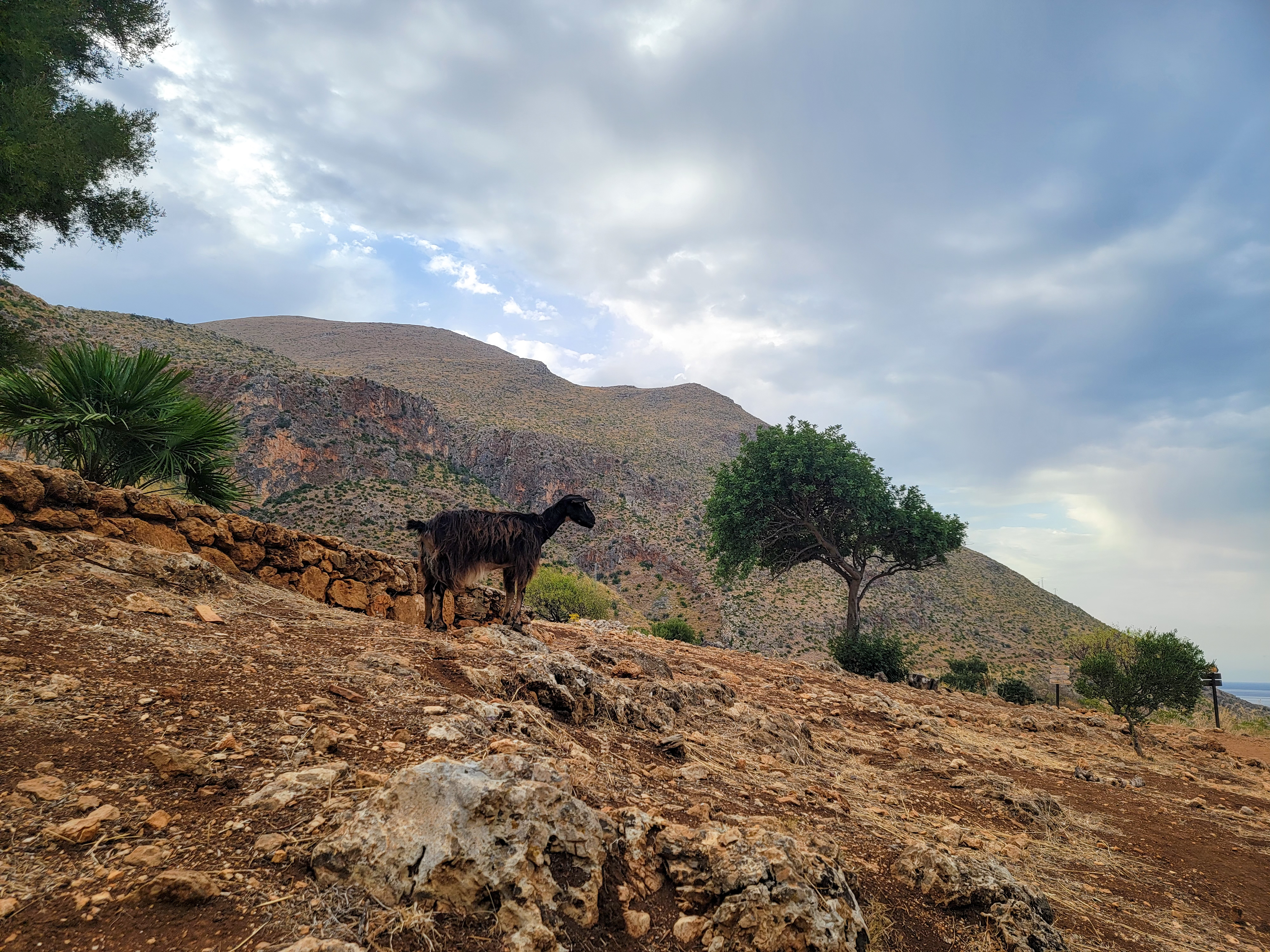 2022-09-16-18.00.33 (1)